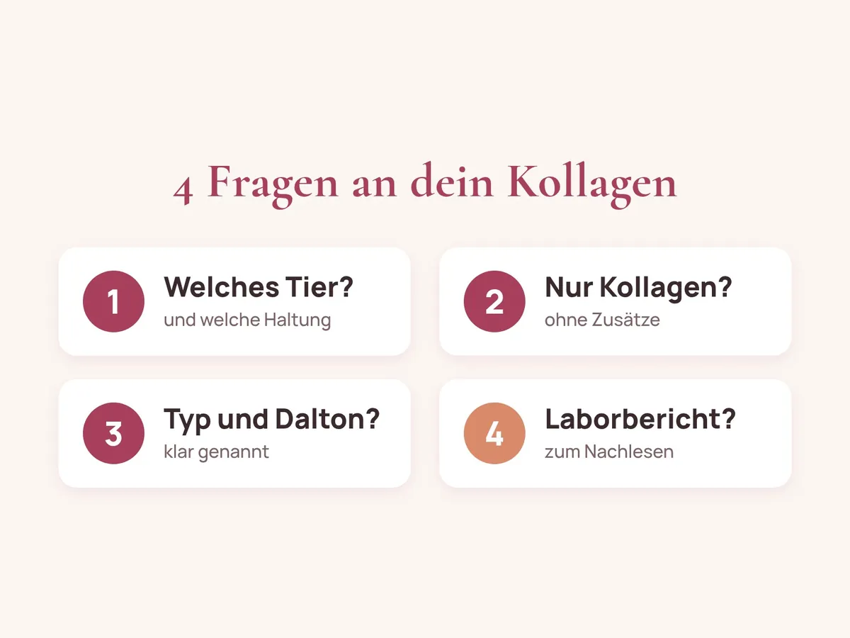 Grafik: 4 Fragen an dein Kollagen. 1 Welches Tier und welche Haltung, 2 Nur Kollagen ohne Zusätze, 3 Typ und Dalton klar genannt, 4 Laborbericht zum Nachlesen